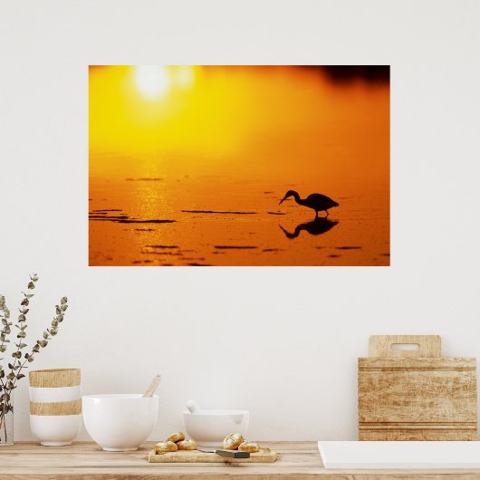 フロリダ州サンセットのヘロンのシルエット ポスター (キッチン)