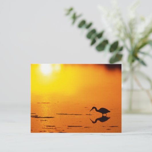 フロリダ州サンセットのヘロンのシルエット ポストカード (スタンド正面)