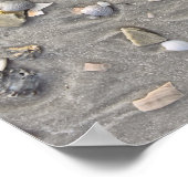 フロリダ州サンブラス岬で壊れた貝殻 ポスター (角)