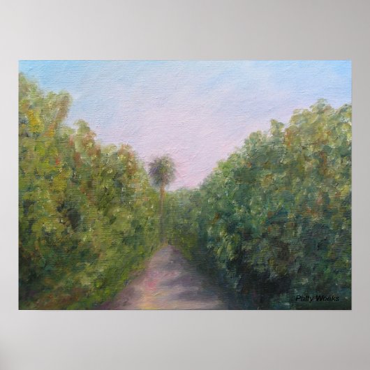 フロリダ州シトラのオレンジグローブ ポスター (正面)