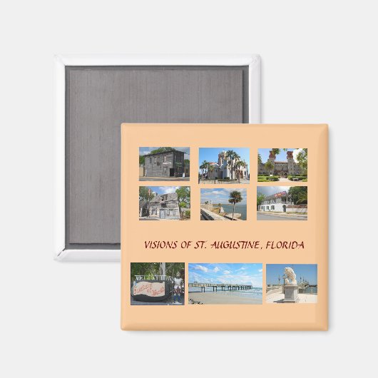フロリダ州セントオーガスティンのビジョン マグネット (正面/裏面)