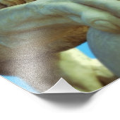 フロリダ州セントオーガスティンのライオンズ橋 フォトプリント            (角)