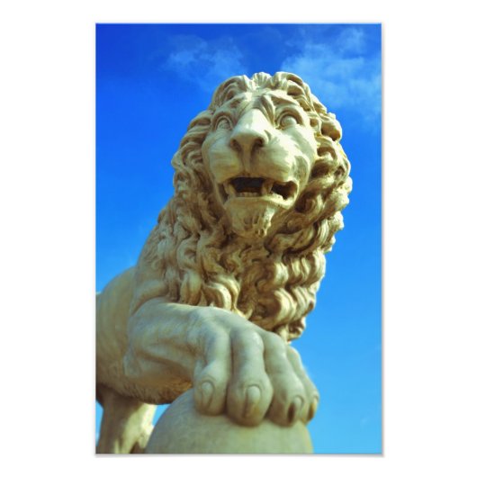 フロリダ州セントオーガスティンのライオンズ橋 フォトプリント            (正面)