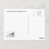 フロリダ州セントオーガスティンのヴィンテージ窓 ポストカード (裏面)