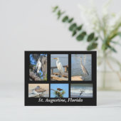 フロリダ州セントオーガスティンの熱帯鳥 ポストカード (スタンド正面)