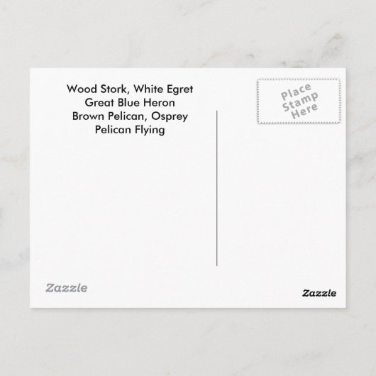 フロリダ州セントオーガスティンの熱帯鳥 ポストカード (裏面)