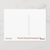 フロリダ州セントオーガスティン ポストカード (裏面)