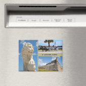 フロリダ州セントオーガスティン マグネット (インサイチュ (食洗機))