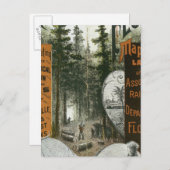 フロリダ州タウンシップ地図 ポストカード (正面/裏面)