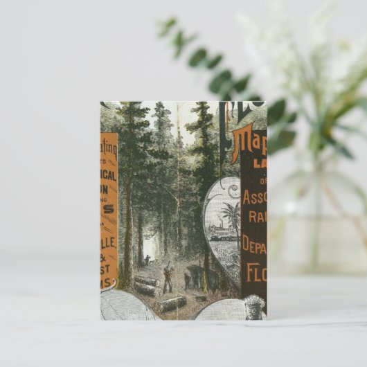 フロリダ州タウンシップ地図 ポストカード (スタンド正面)