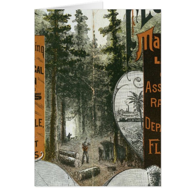 フロリダ州タウンシップ·マップ (正面)