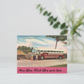 フロリダ州タミアミ・トレイルEverglades ポストカード (スタンド正面)