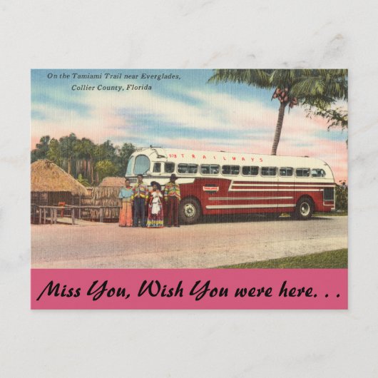 フロリダ州タミアミ・トレイルEverglades ポストカード (正面)