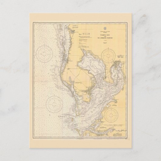 フロリダ州タンパ湾のヴィンテージ地図 ポストカード (正面)
