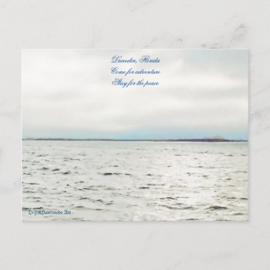 フロリダ州ダニーディンはがき ポストカード (正面)