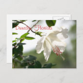 フロリダ州ダニーデン ポストカード (正面/裏面)