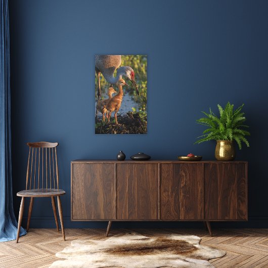 フロリダ州チックスとサンドヒルクレーン キャンバスプリント