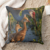 フロリダ州チックスとサンドヒルクレーン クッション (ブランケット)