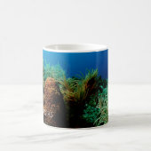 フロリダ州ドライトルトゥガス国立公園コーラルリーフ コーヒーマグカップ (中央)