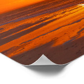 フロリダ州ドーンのビーチのウィレット ポスター (角)