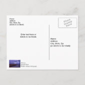 フロリダ州ナバール稲妻嵐感謝ポストカード ポストカード (裏面)