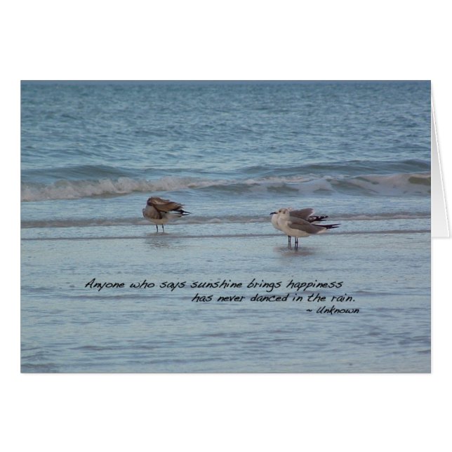 フロリダ州ナポリのカモメ (正面横)