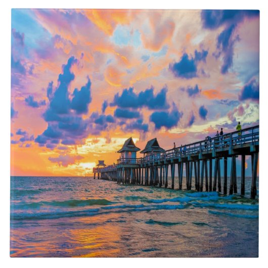 フロリダ州ナポリピア タイル (正面)