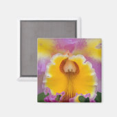 フロリダ州ハイブリッドオーキッド マグネット (正面/裏面)