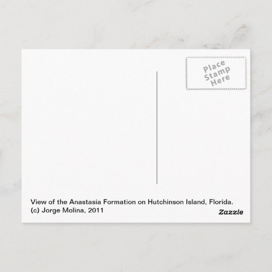 フロリダ州ハッチンソン島、アナスタシアの形成 ポストカード (裏面)