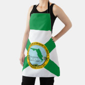 フロリダ州ハリウッド国旗 エプロン (インサイチュ)