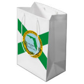 フロリダ州ハリウッド国旗 ミディアムペーパーバッグ (裏面アングル)
