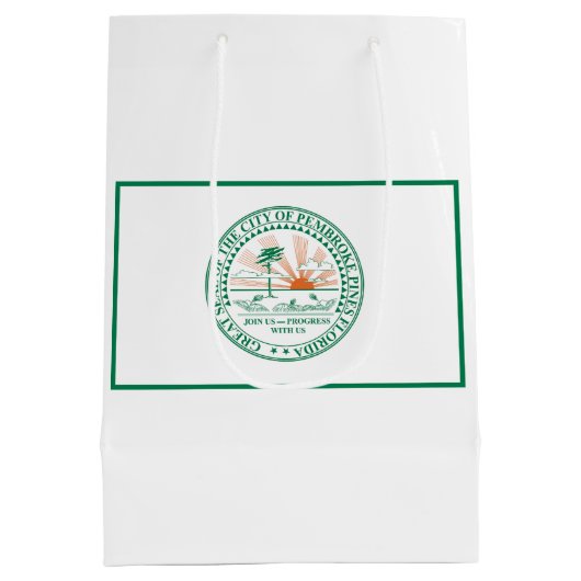 フロリダ州フォートペンブロークパインズ州旗 ミディアムペーパーバッグ (裏面)