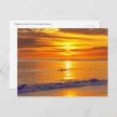 フロリダ州フォートマイヤーズビーチサンセットでイルカ ポストカード (正面/裏面)