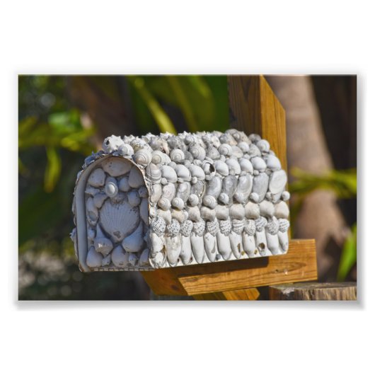 フロリダ州フォートマイヤーズビーチ、シェルメールボックス フォトプリント            (正面)