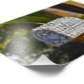 フロリダ州フォートマイヤーズビーチ、シェルメールボックス フォトプリント            (角)