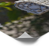 フロリダ州フォートマイヤーズビーチ、シェルメールボックス ポスター (角)