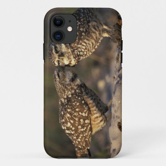 フロリダ州フォートマイヤーズ。巣穴に住むフクロウのペアの絆 Case-Mate iPhoneケース (裏面)