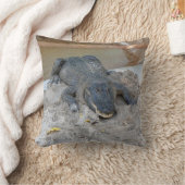 フロリダ州フォートローダーデール,アリゲーター クッション (ブランケット)