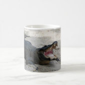 フロリダ州フォートローダーデール，アリゲーター コーヒーマグカップ (中央)