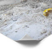 フロリダ州フォートローダーデール，アリゲーター ポスター (角)