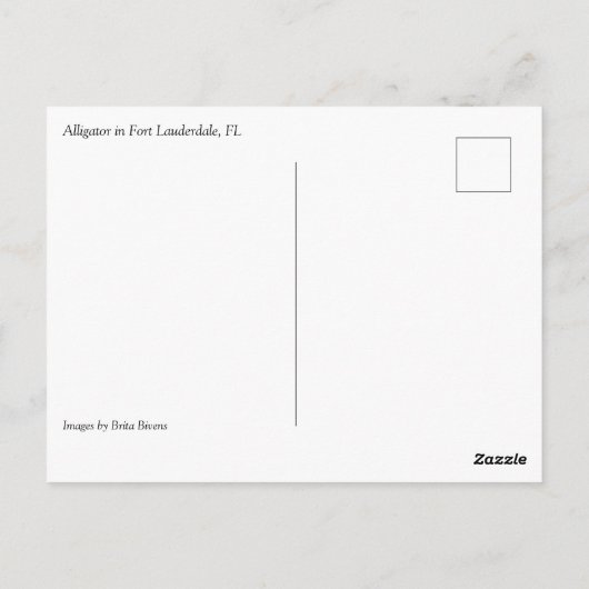フロリダ州フォートローダーデール,アリゲーター ポストカード (裏面)