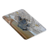 フロリダ州フォートローダーデール，アリゲーター マグネット (右側)