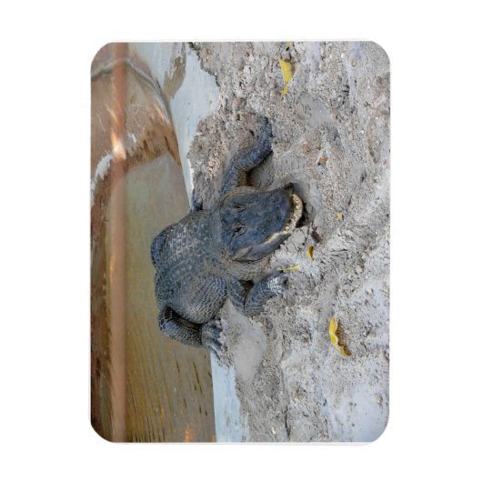 フロリダ州フォートローダーデール,アリゲーター マグネット (縦)