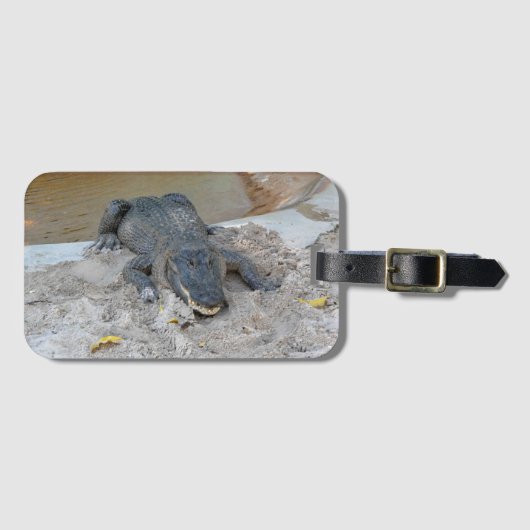 フロリダ州フォートローダーデール,アリゲーター ラゲッジタグ (正面横)