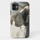 フロリダ州フォートローダーデール,アリゲーター Case-Mate iPhoneケース (裏面)