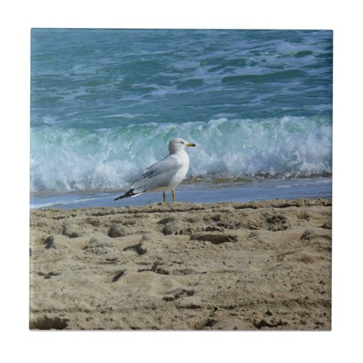 フロリダ州フォートローダーデール タイル (正面)