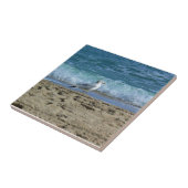 フロリダ州フォートローダーデール タイル (側面)