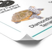 フロリダ州フロリダの動物アメリカ野生動物 ポスター (角)