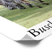 フロリダ州ブッシュ・ガーデン ポスター (角)