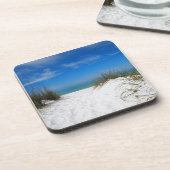 フロリダ州ブラデントンの砂丘 コースター (左側)